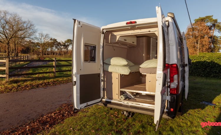 Hectorhetbusje – 2p Chausson Bus camper dal 2021