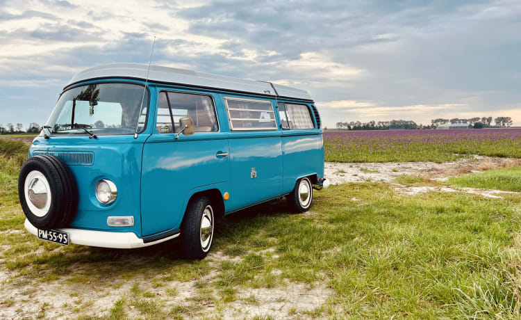 Mr. Blue Sky – Volkswagen T2 Westfalia oldtimer camper