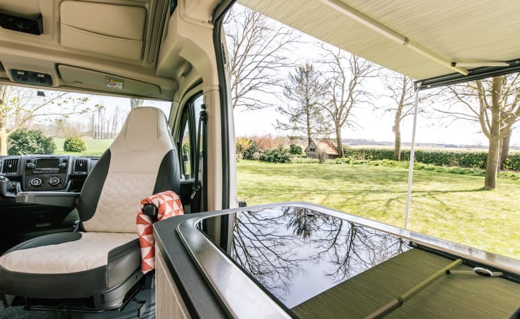 Jackie's hut – Beautiful Peugot Camperbus, 150 HP