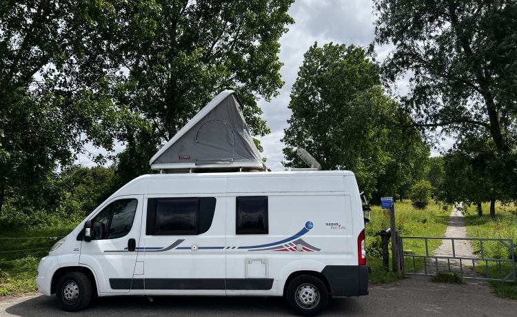 4er Adria Mobil Bus aus dem Jahr 2008