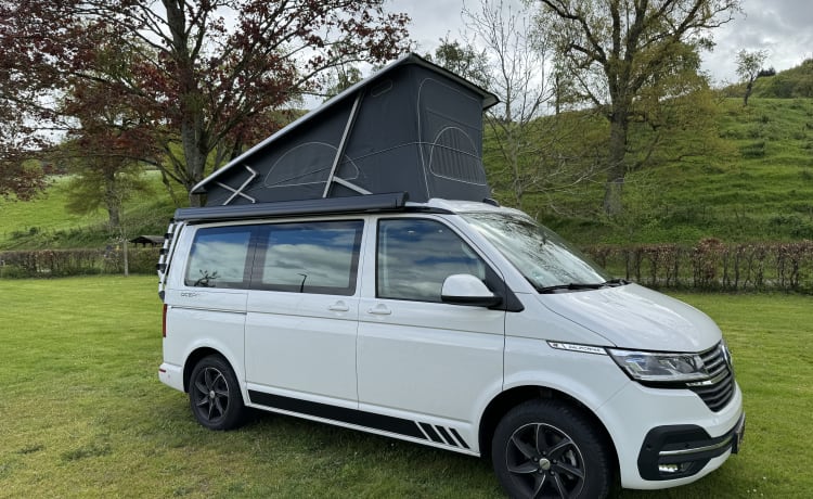 Witte VW California – Volkswagen CALIFORNIA T6 Edition (4p) aus dem Jahr 2018. Möglicherweise. mit Motorradanhänger