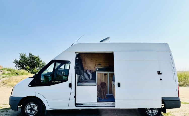 Billy – Stealth 2-Bett Ford Transit Van