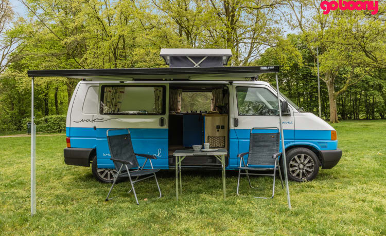 Waves – Camper Volkswagen 2p del 1999