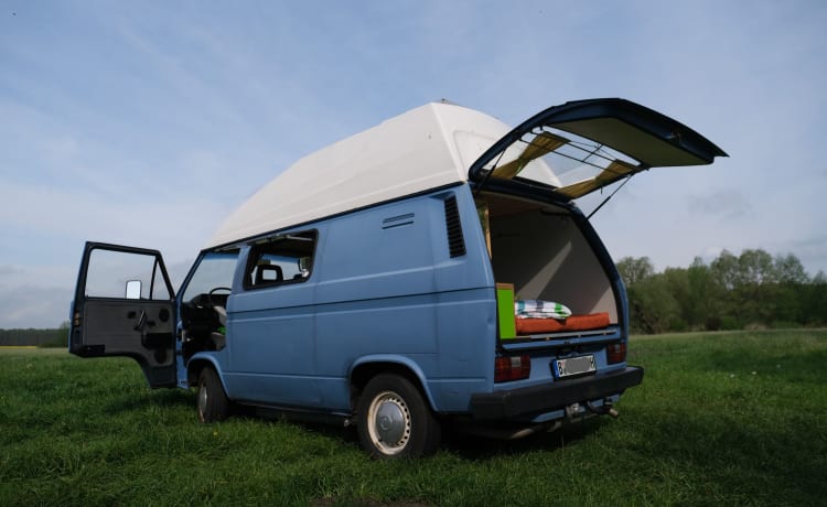 Theo – VW-T3 Bulli