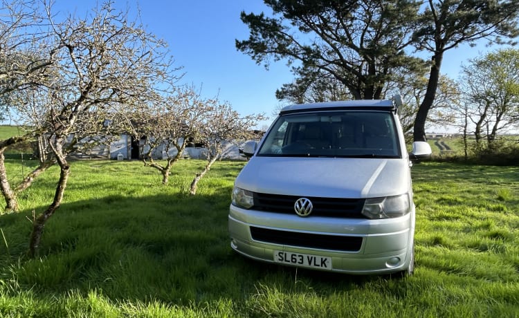 Daphne – 4-persoons Volkswagen campervan uit 2013