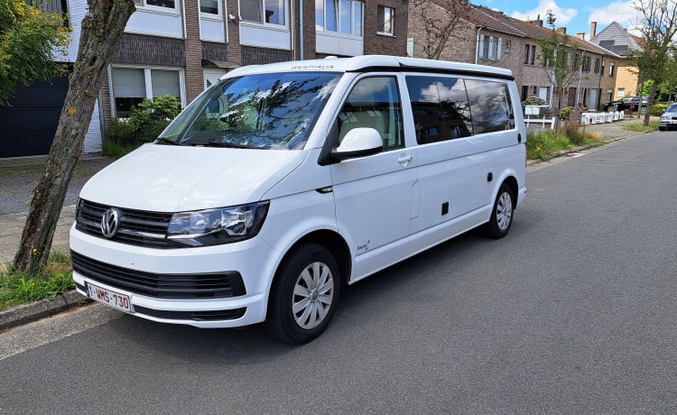 Glamping on wheels! – Westfalia-Wohnmobil für 2 Personen aus dem Jahr 2019