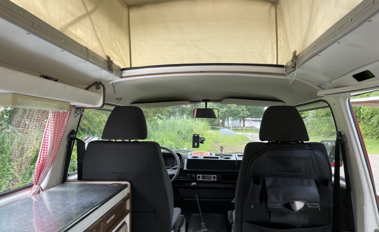 Lana – Camper Volkswagen 2p del 1981