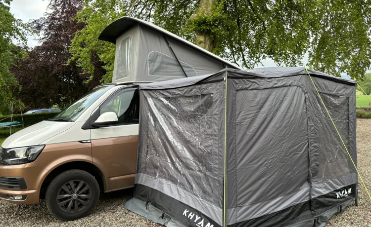 Goldie – Explorez avec Goldie - Camping-car VW T6 jusqu'à 6 couchettes