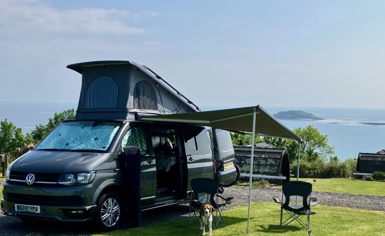 Billy – 4 Posti letto VW T6 - Nuova conversione - Auto - LWB