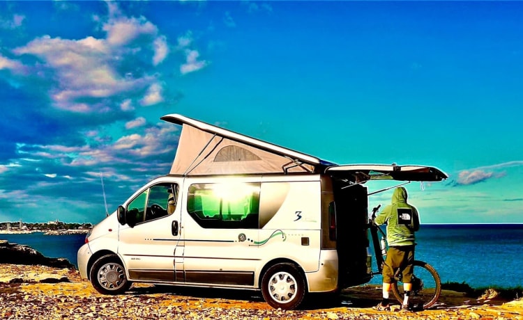 Adria 3 Way Rent Van in Puglia