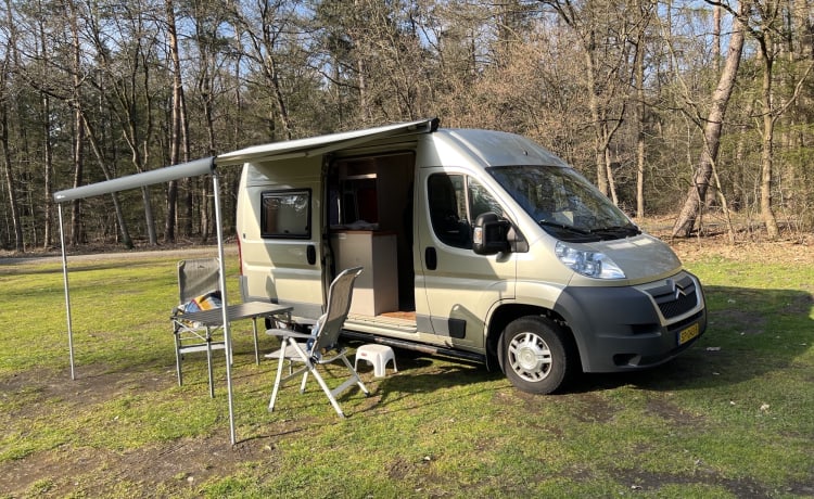 Autobus Citroën 2p del 2014