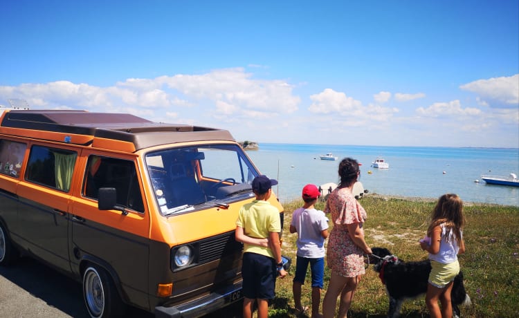 Shultz – Combi VW T25 T3 5 Pers Ingerichte Van - Oléron Island - Luchtgekoeld