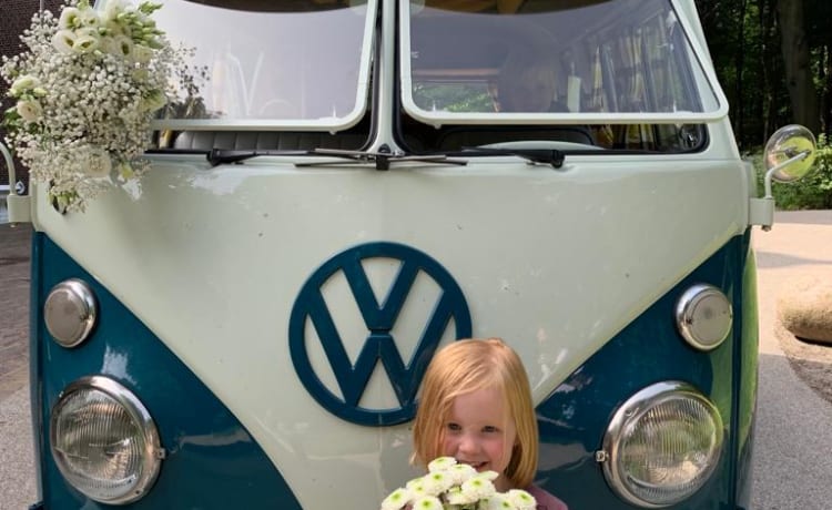 De Bus – T1 Volkswagen bus uit 1965