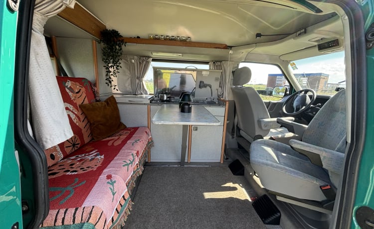 Gus the Bus – Compacte VW Westfalia