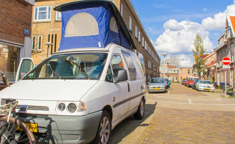 Scudo – Nice compact camper 🚐🏝