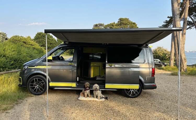 Fergus – 2021 Volkswagen Campervan T6 für 4