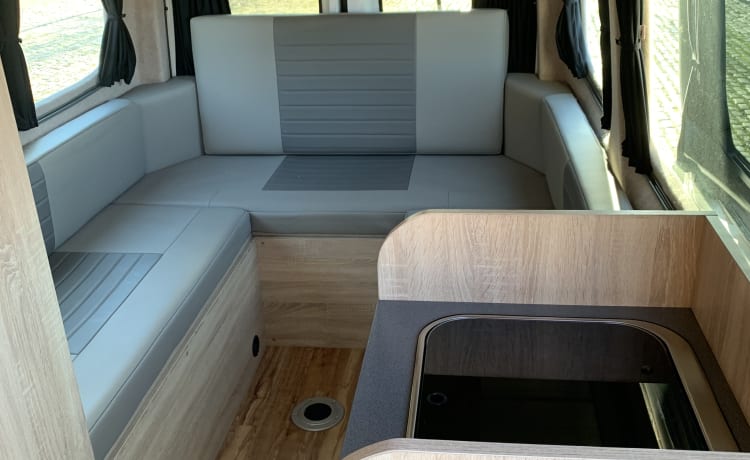 VW Crafter – Femme errante