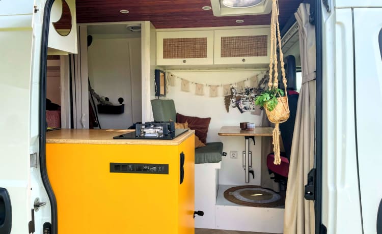 Groot – 🚐 Completely off-grid and equipped with all the luxury! 🏕️