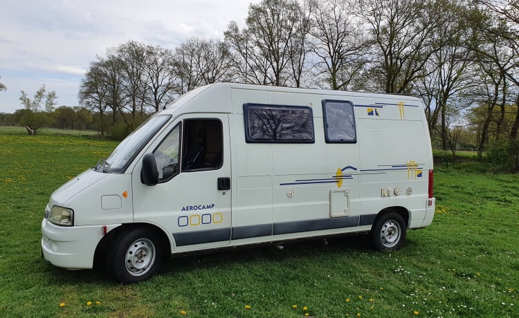 Original Fiat SEA bus camper