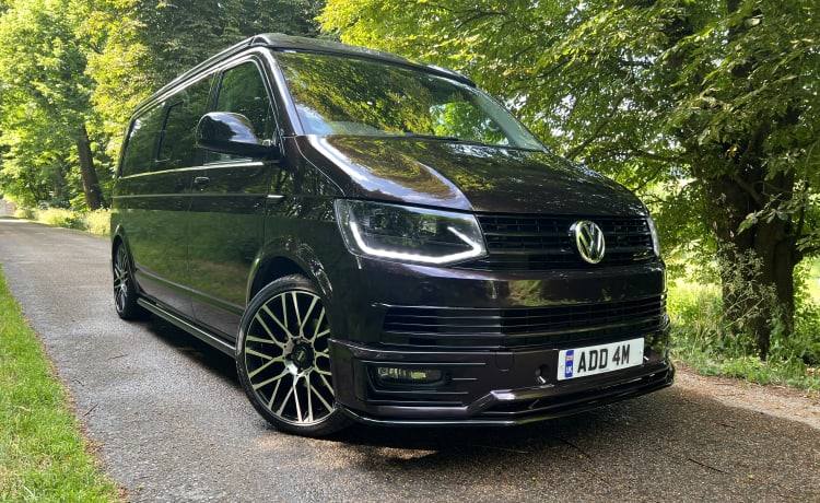 ADDAM – 4 berth Volkswagen bus from 2016