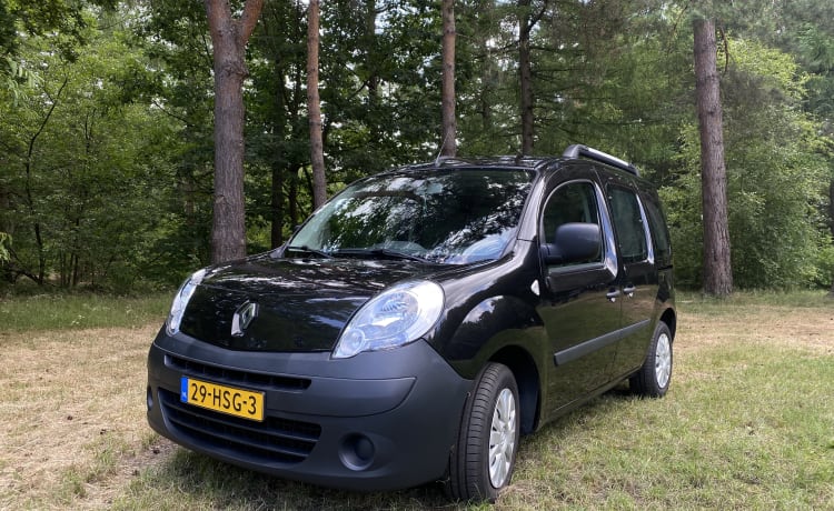 The Dutch Kangeroo 🦘 – Camping-car Renault 2p de 2009