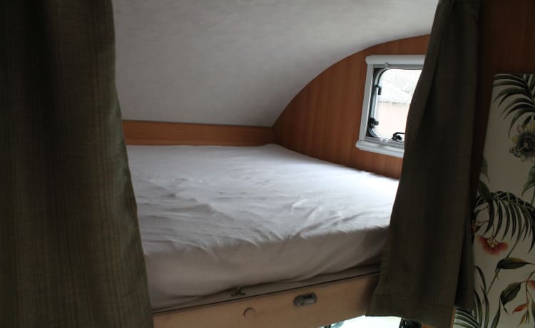 Camper McLouis Lagan Alcove del 2008