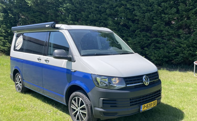 VW T6 Automaat – Aloha Beach Camper Blue