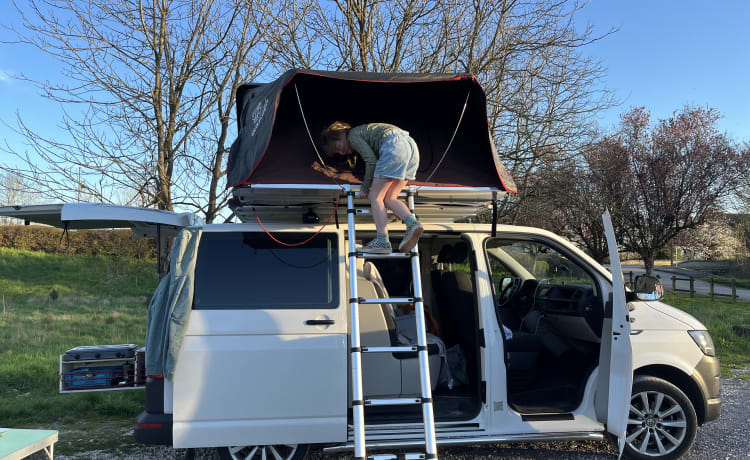 Maki on the road  – 4p Volkswagen rooftop uit 2016