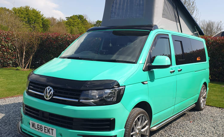 Scooby LWB – DOG FRIENDLY VW CAMPERVAN AVEC TOUS LES EXTRAS POUR PASSER DE BONNES VACANCES