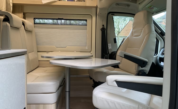 Dreamer – Fiat-bus met 5 slaapplaatsen uit 2019