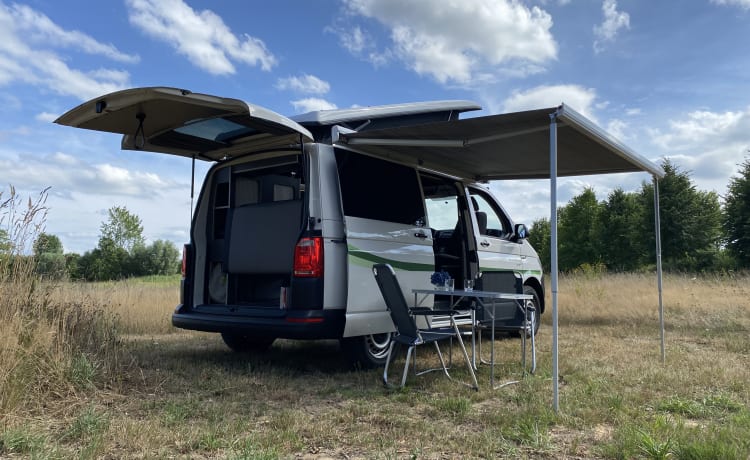 California 2 – Volkswagen bus camper