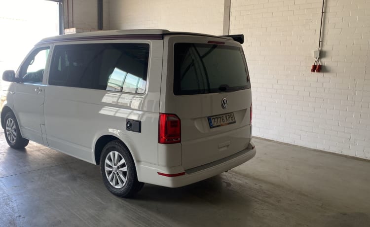 Cali  – Volkswagen California T6 (Factory Camper, original)