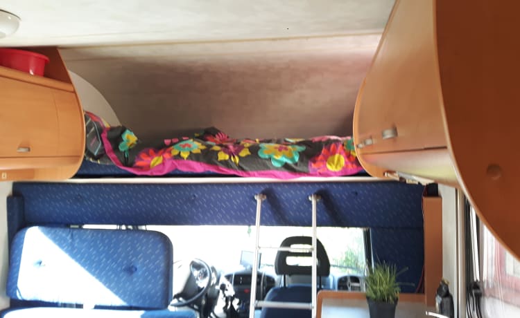 Cozy Fiat Ducato with air conditioning and bicycle carrier