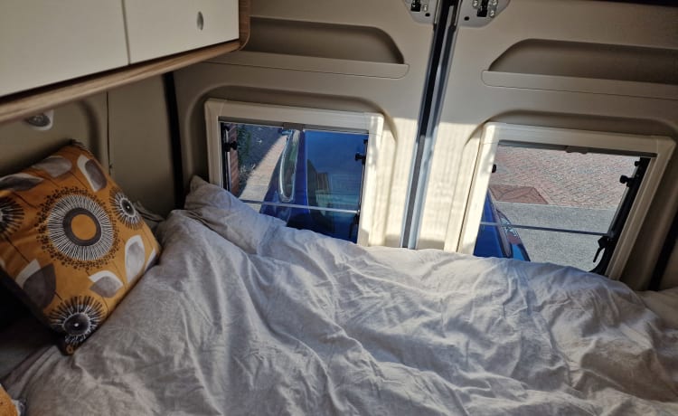 Camper Carado 3 posti letto del 2023