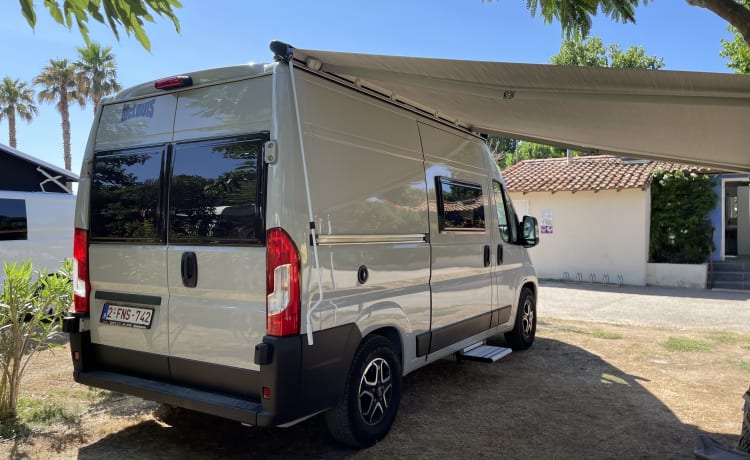 Camping-car 2 personnes (2024) McLouis Menfys Discovery Van 1