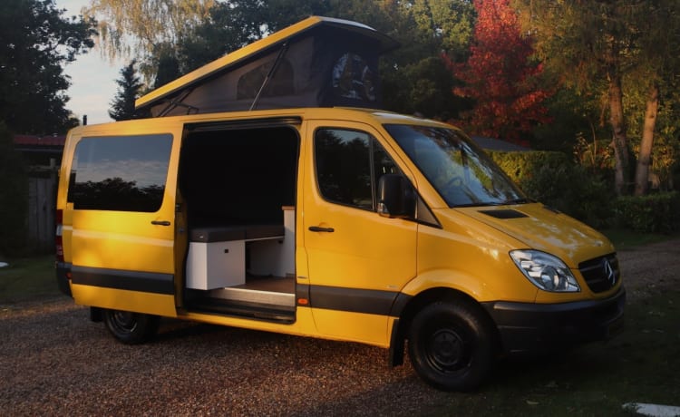 Bus pour personnes de grande taille, notre sous-marin Yello