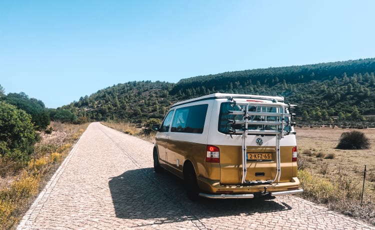 Billie – dé Volkswagen T5 camper voor vier: 2 volwassenen en 2 kinderen 