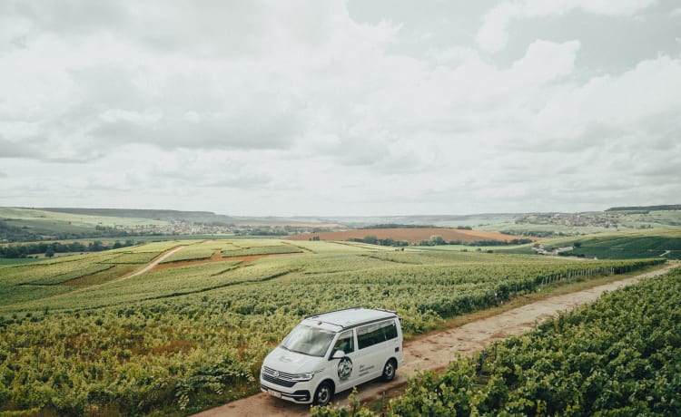 4p Volkswagen campervan uit 2023