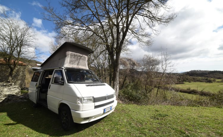 Rino il campeRino – Volkswagen T4 westfalia californië