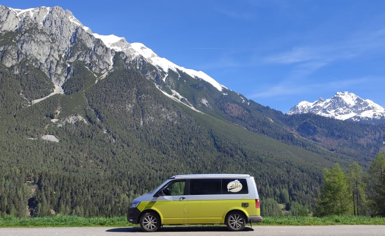 VW T6 – Aloha beach camper citron, très luxueux à l'intérieur