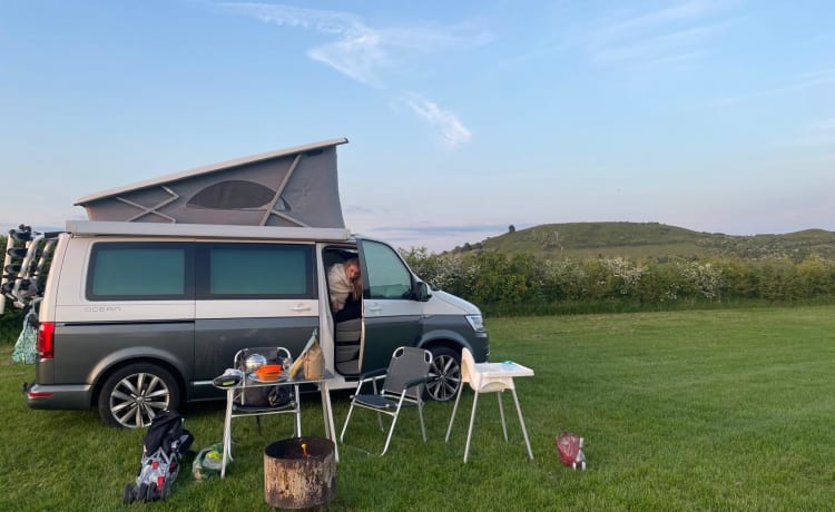4p Volkswagen campervan uit 2019