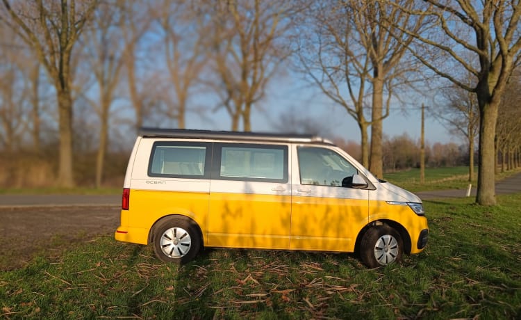 STORMY 1 – Volkswagen California Ocean 