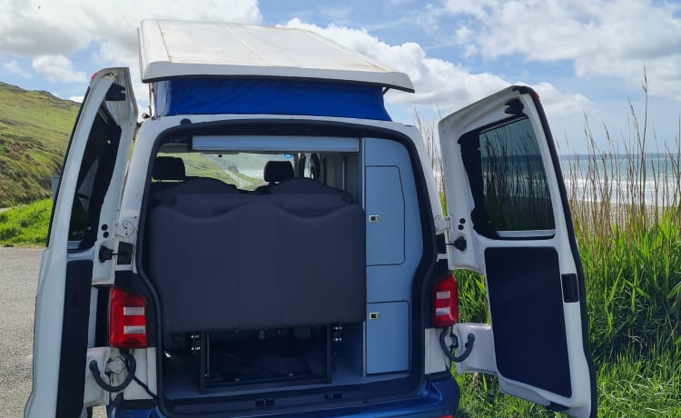 Cosmo – Volkswagen Camper. 2015 T6