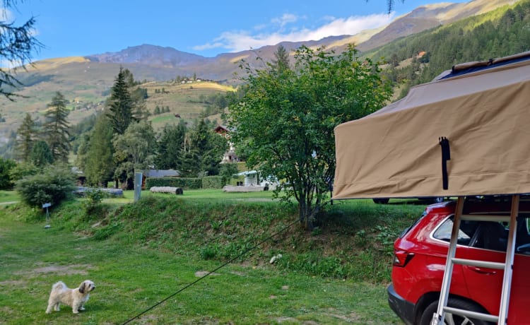 Tenda da tetto 160 con Fiat🇮🇹