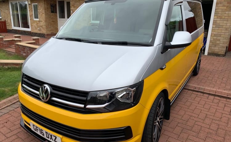 Bumble – 2 berth + 2 kids Volkswagen T6 campervan from 2016