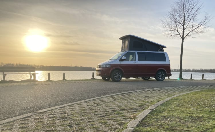 Camper Volkswagen di lusso per 5 persone
