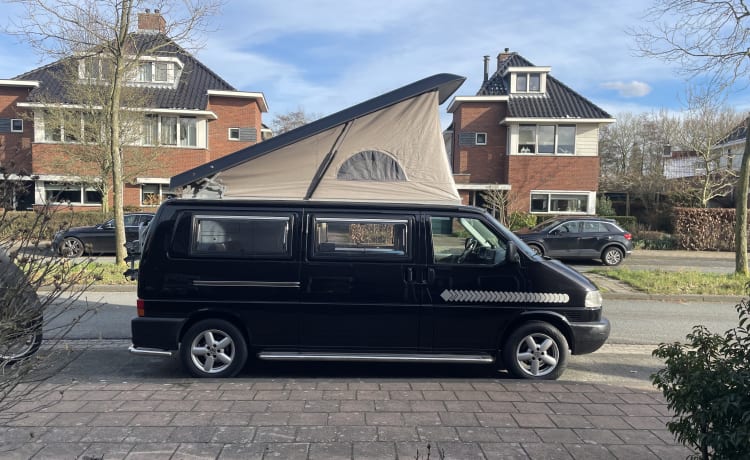 La Vie en Rose  – Verlengde Volkswagen T4 Fischer automaat 