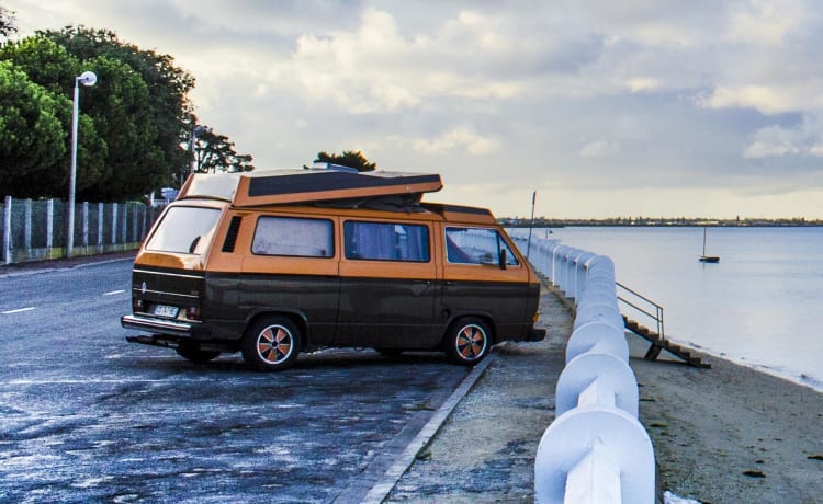 Shultz – Kombi VW T25 T3 5 Personen Van - Insel Oléron - Luftgekühlt