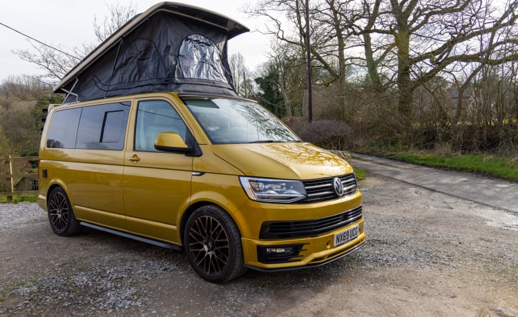 Goldbug – 4-persoons Volkswagen campervan uit 2019