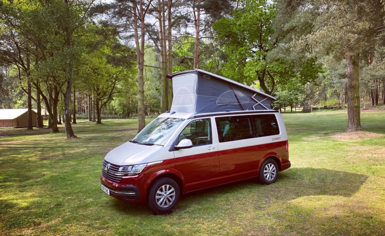 Hugo – Ongelooflijke VW California-camper 